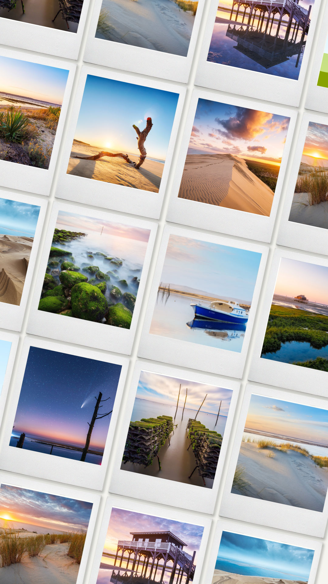 Packshot produit Bassin d'Arcachon