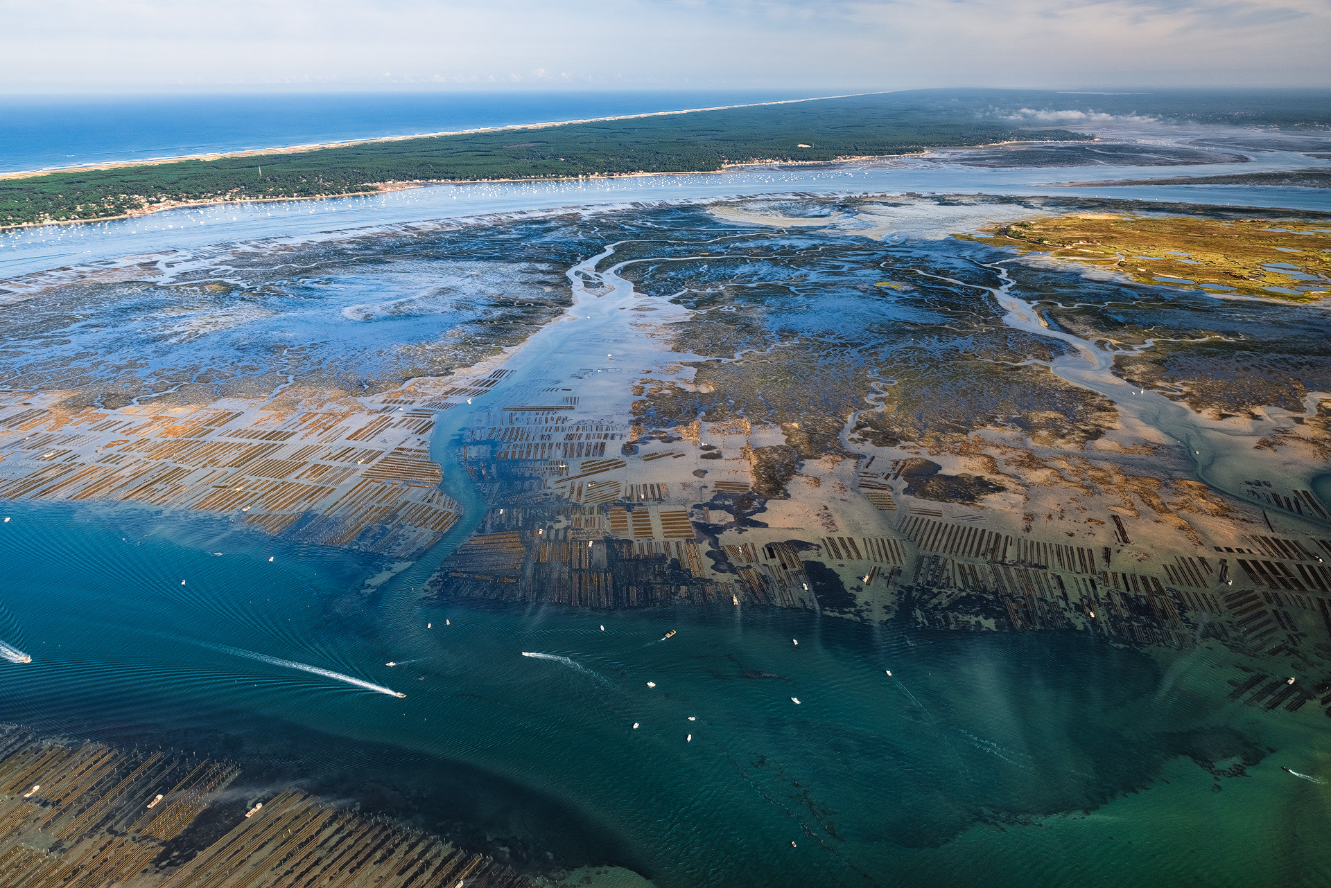 Île aux oiseaux vue du ciel