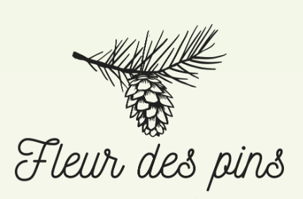 Le meilleur restaurant du Bassin d'Arcachon