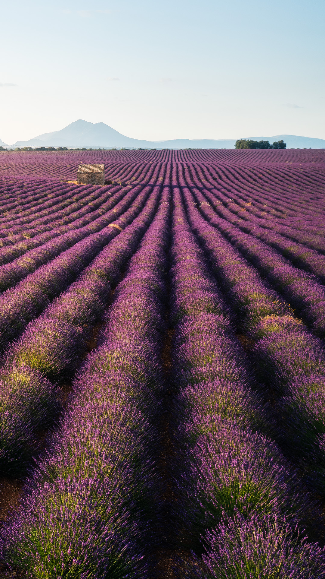 Voyage photo :