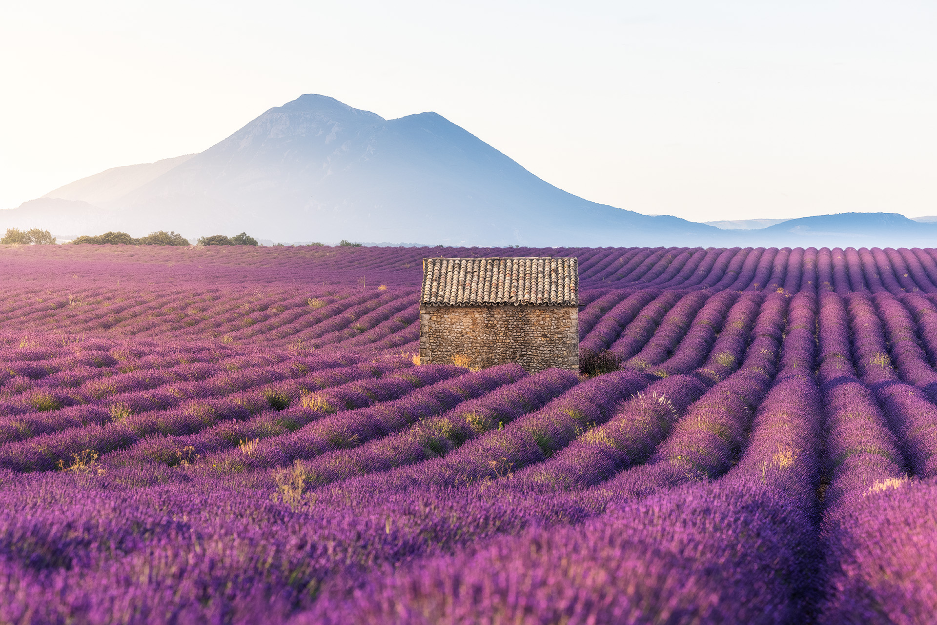 Voyage photo :