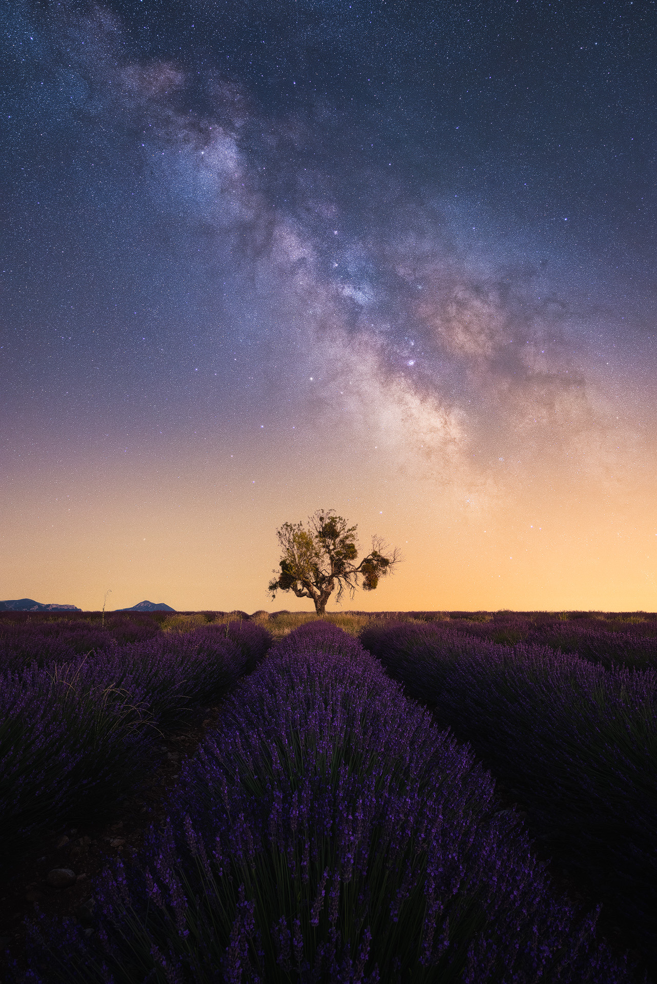 Voyage photo :