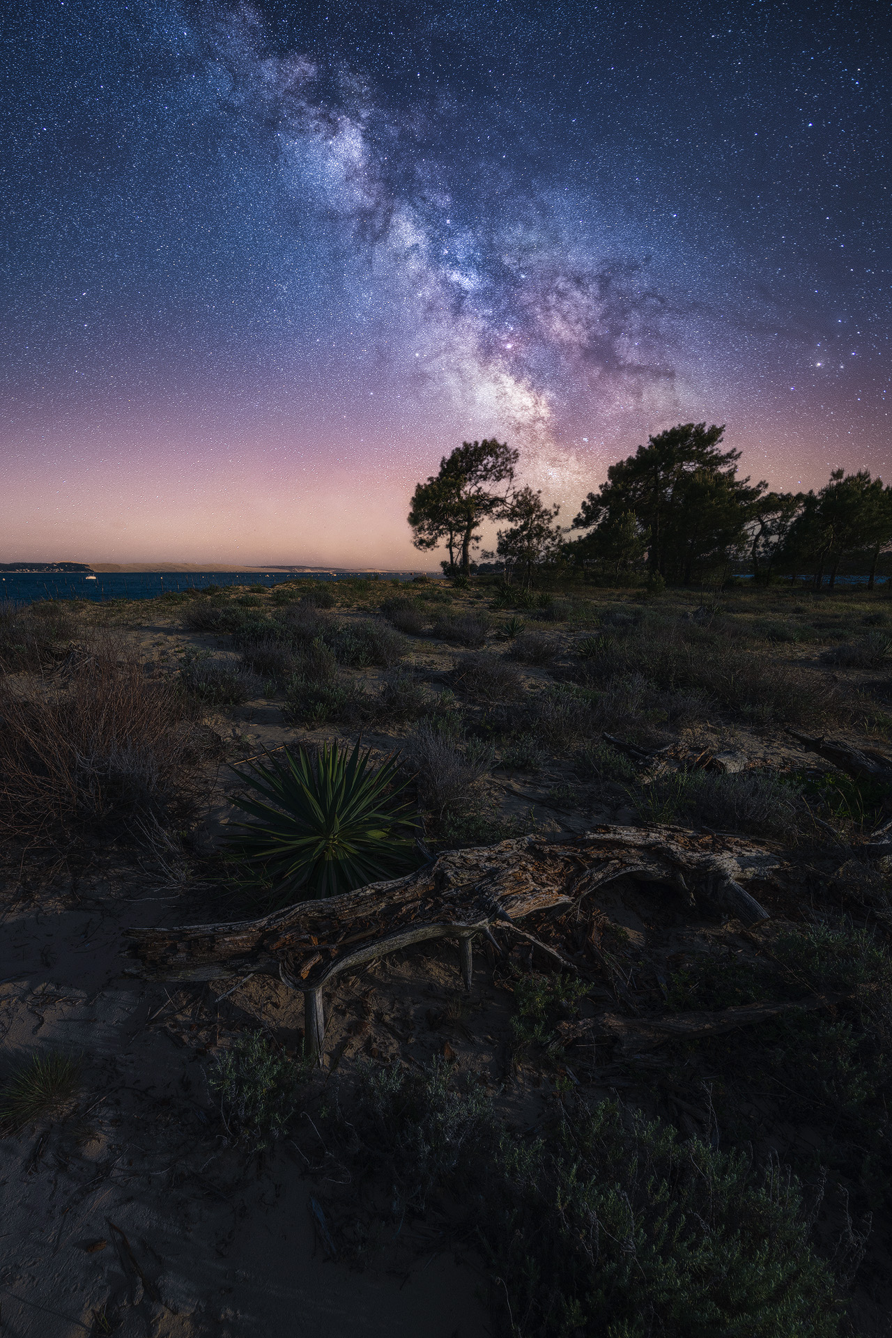 Voie lactée au Mimbeau