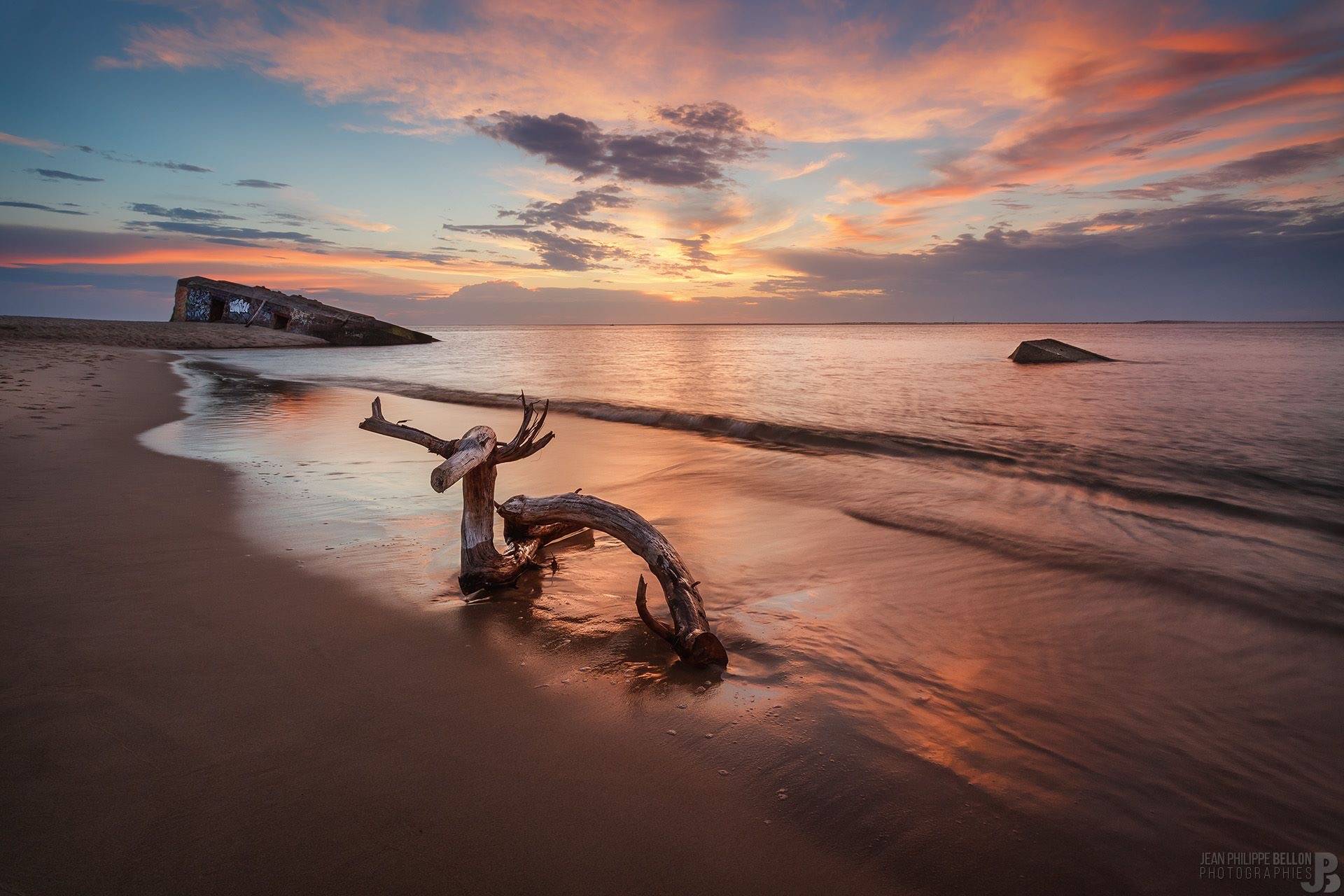 Coucher de soleil sur ce tronc en forme de cerf