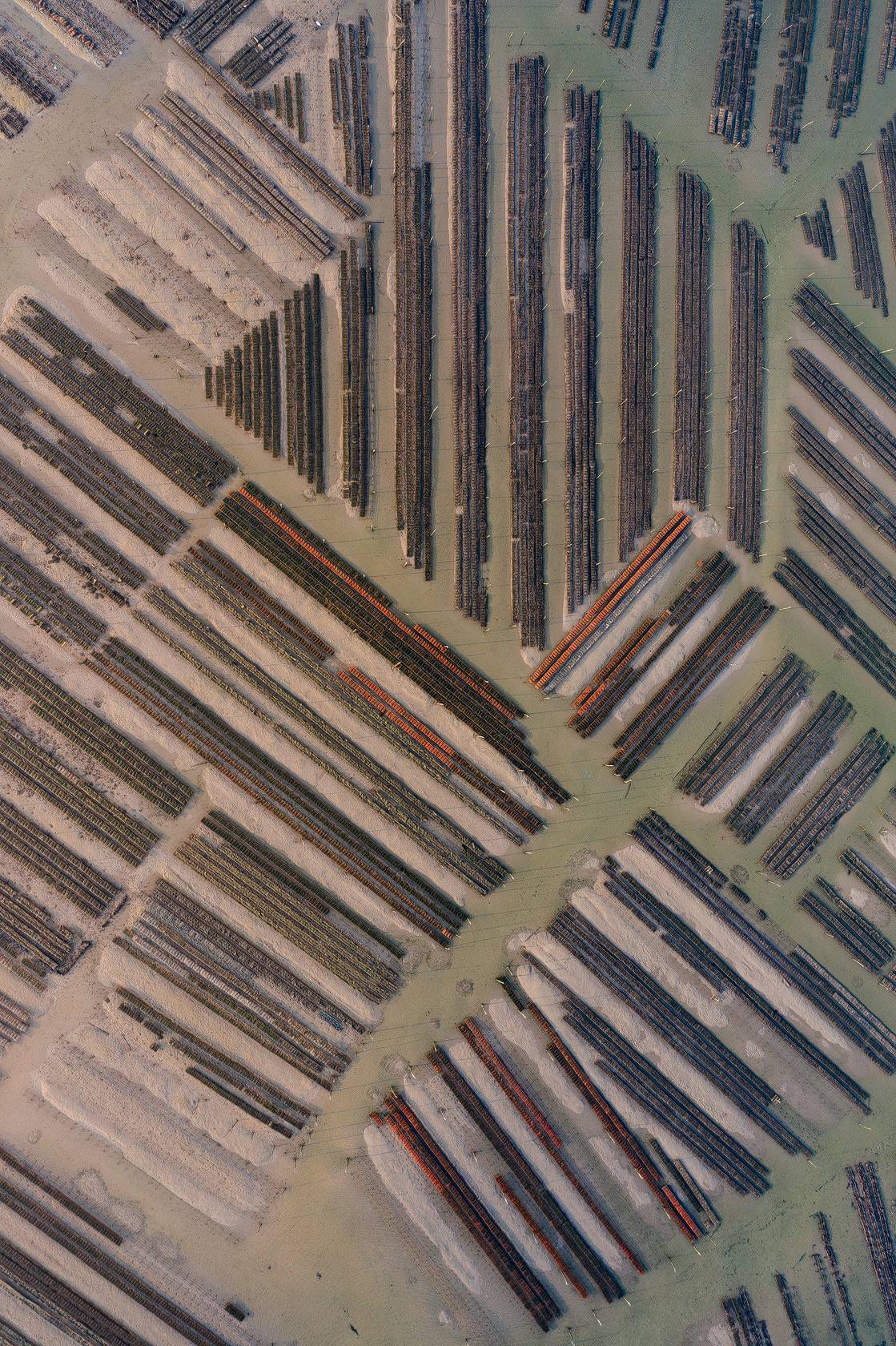 Photo aérienne des parcs ostréicoles du Courbey à Arcachon