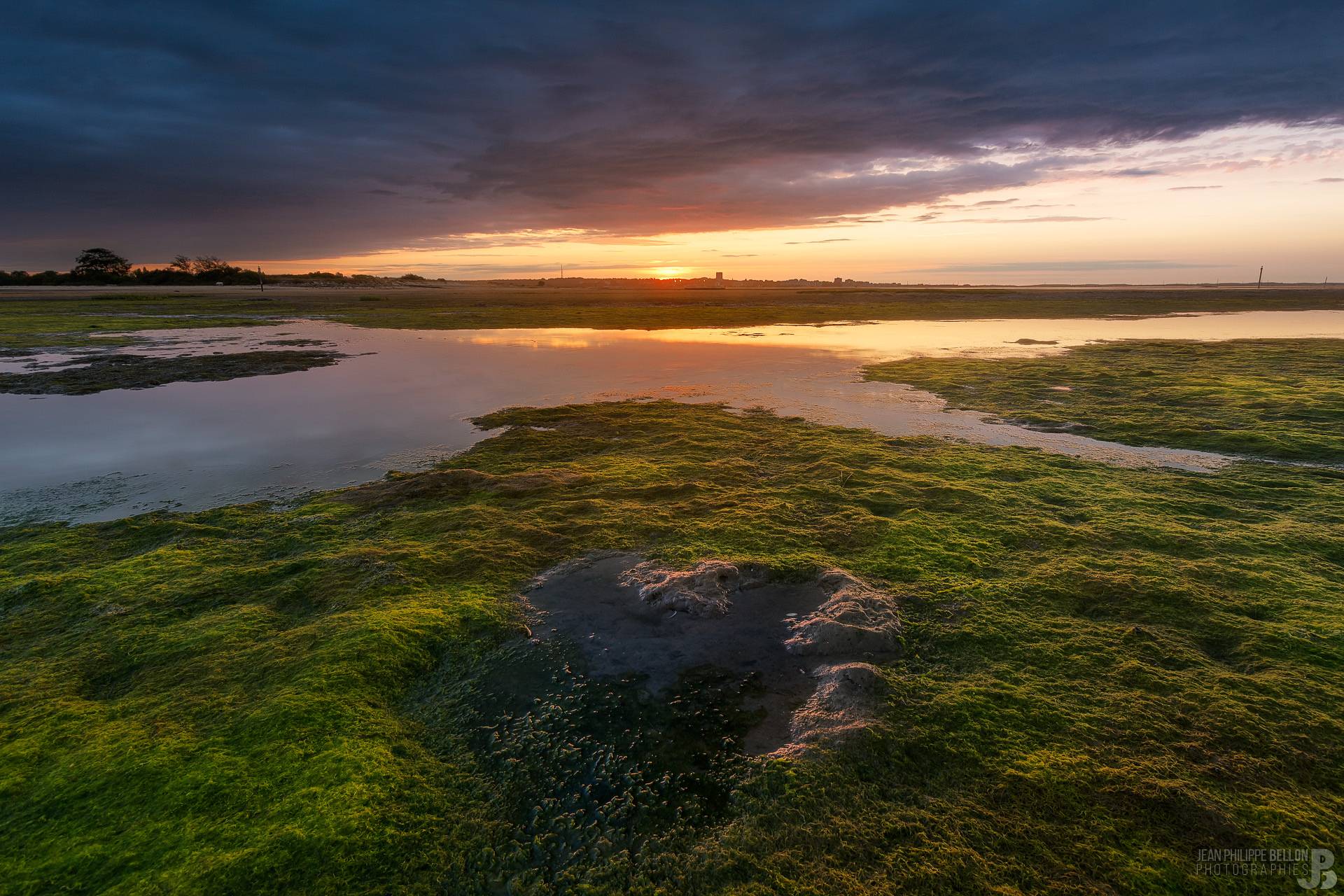 Coucher de soleil sur les algues de la plage de La Hume