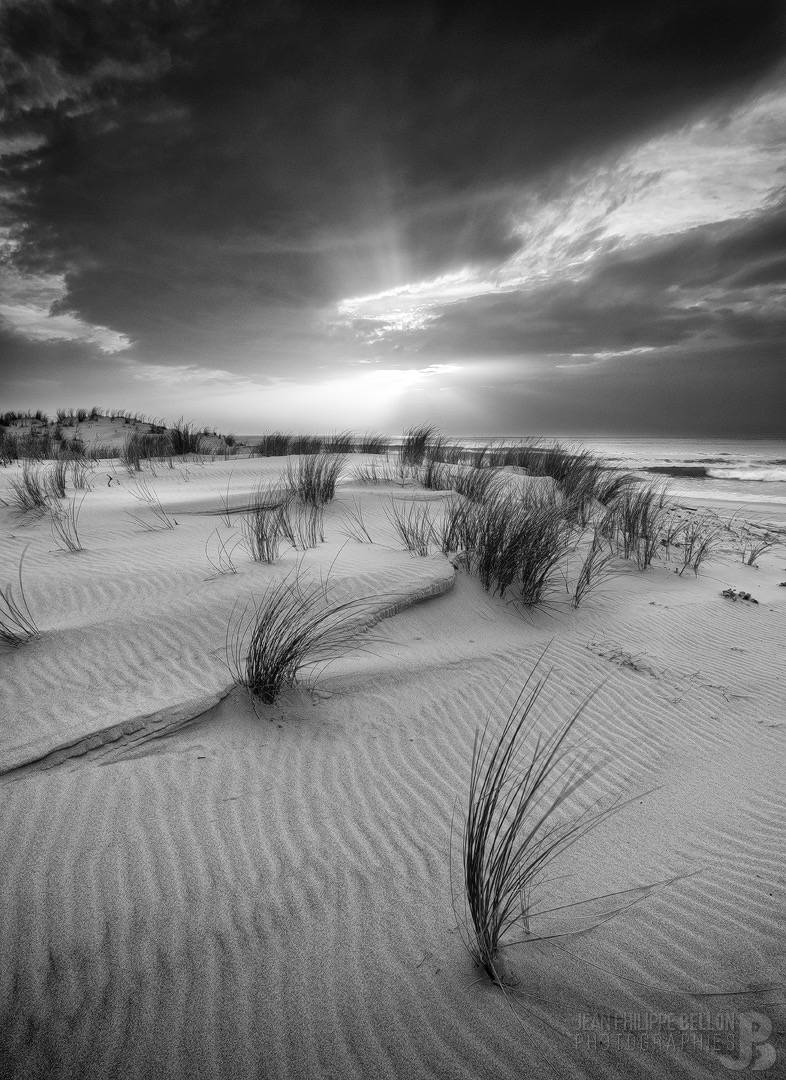 Coucher de soleil en noir et blanc de la plage du Wharf