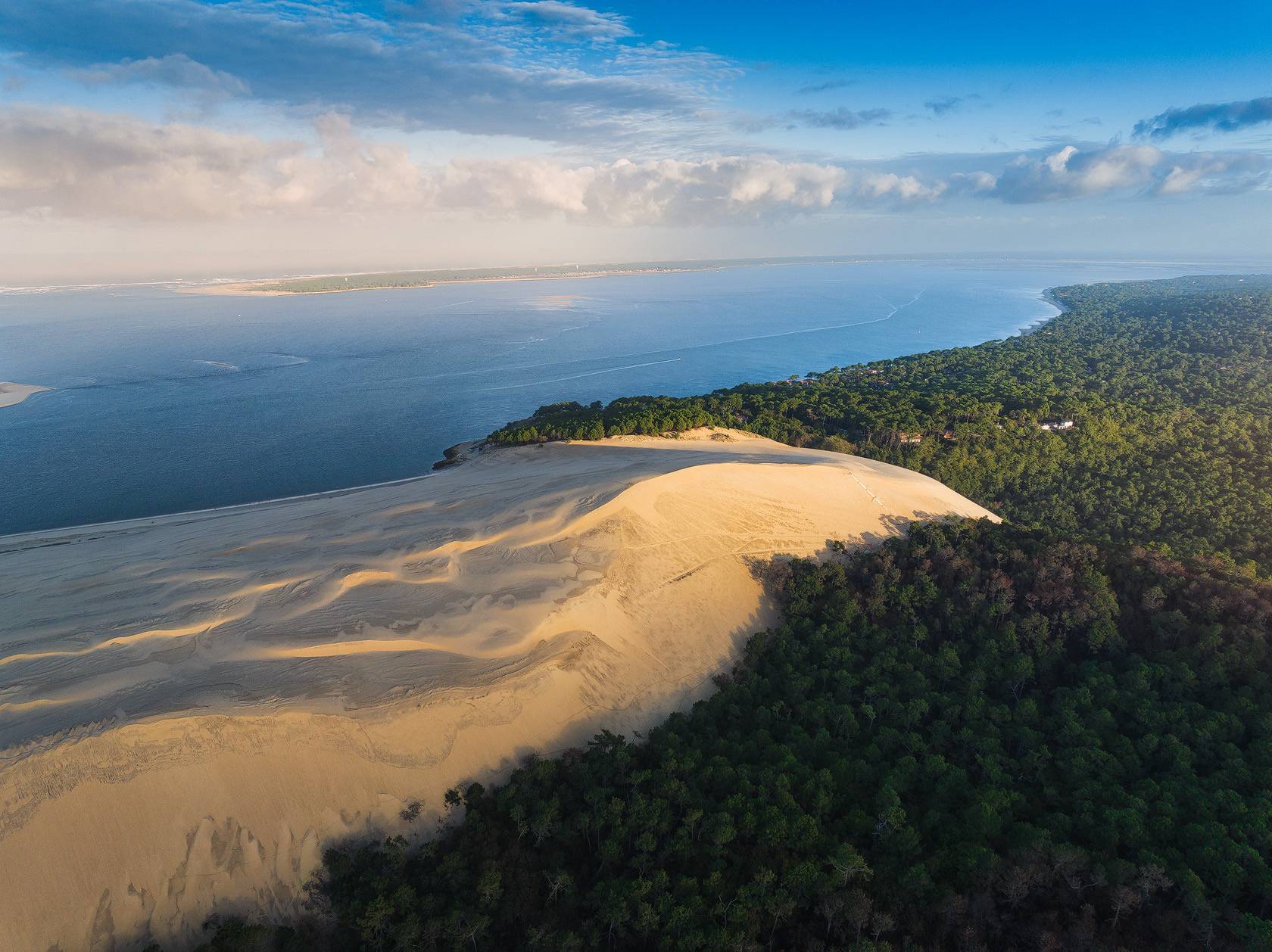 Photographie aérienne de la Dune du Pilat et sa forêt