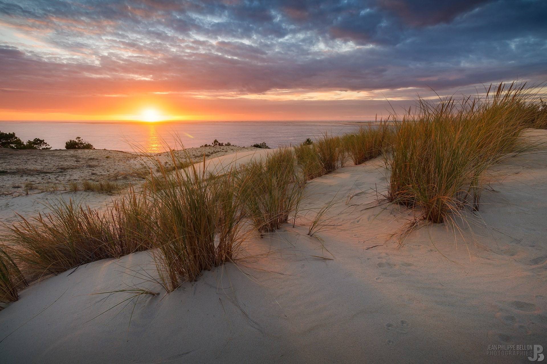 Coucher de soleil sur les oyats de la Dune du Pyla