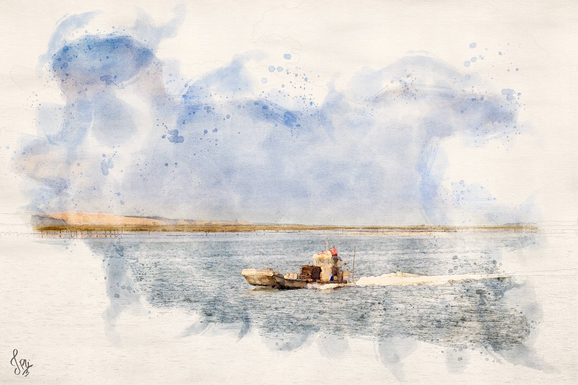 Illustration en aquarelle numérique d'une plate ostréicole