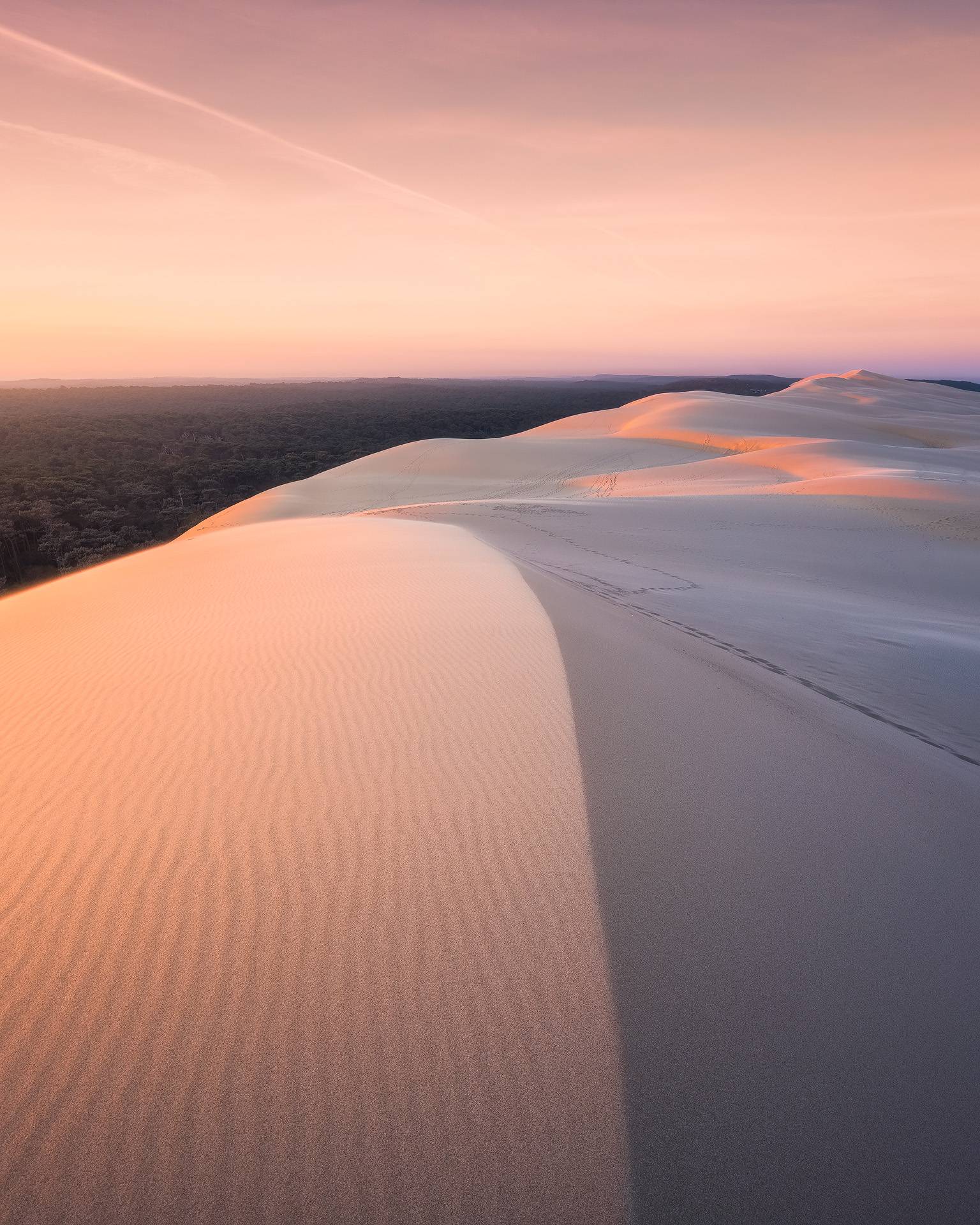 Lever de soleil rose sur le Dune du Pilat