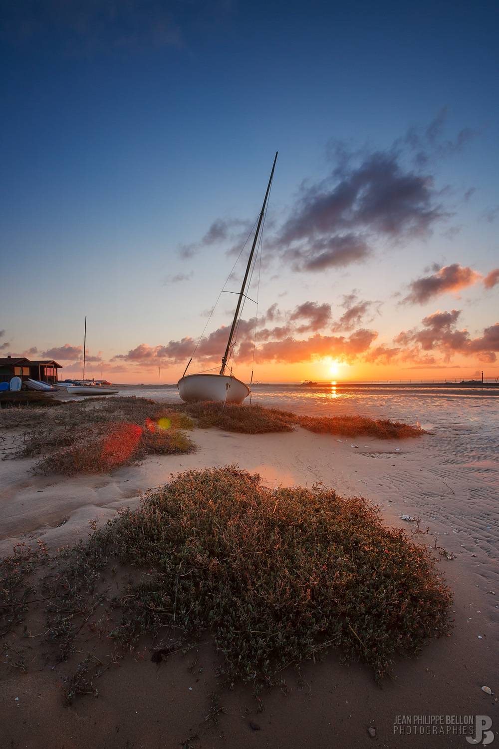 Lever de soleil sur la végétation de l'Aiguillon