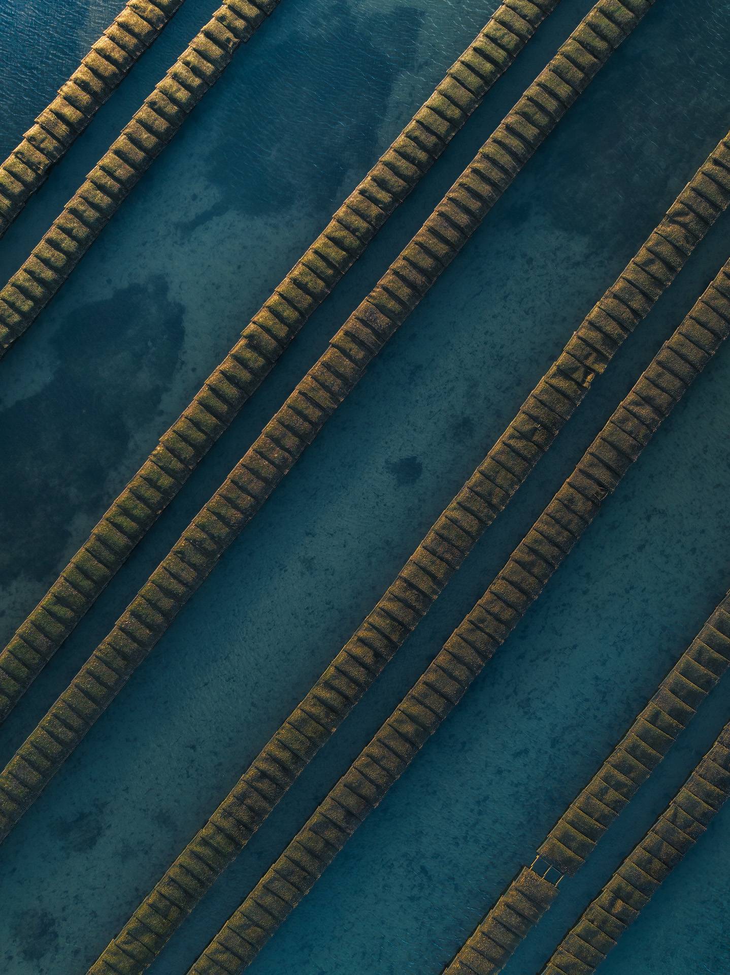 Photographie aérienne des parcs à huîtres du cap-ferret à ma verticale