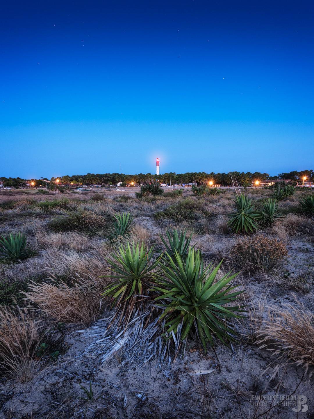 Photo du Cap Ferret de nuit avec des yuccas
