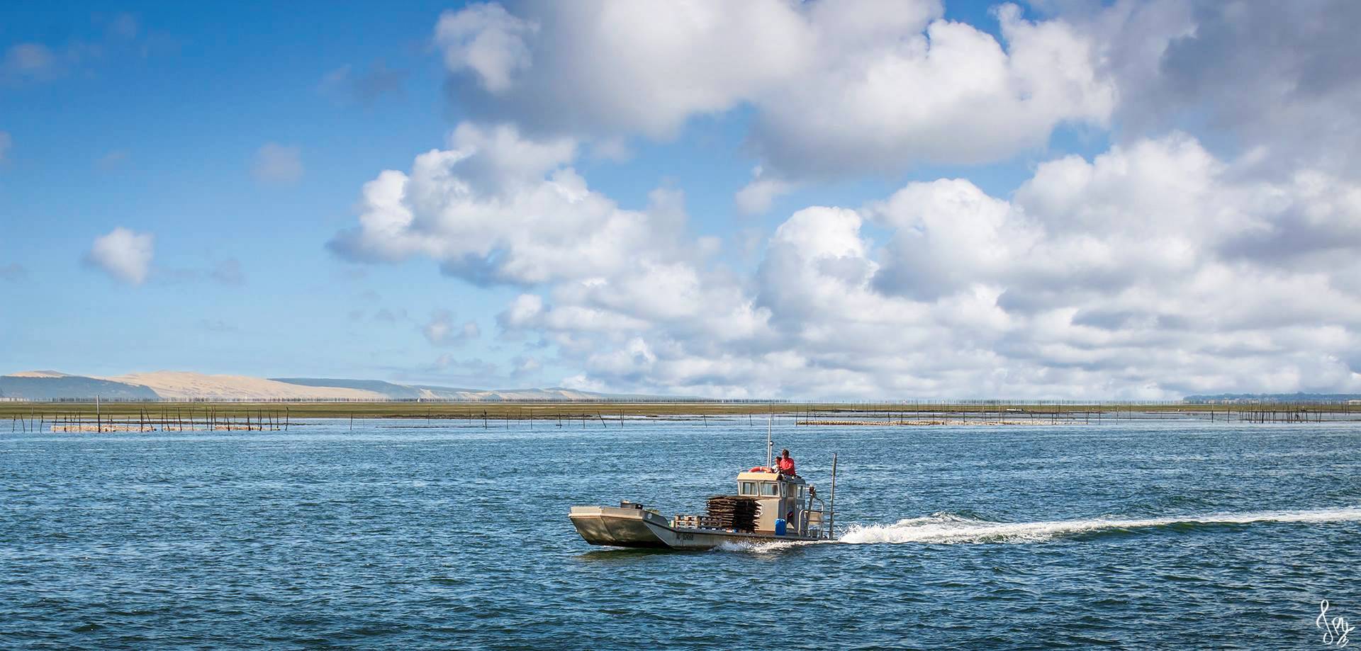 Plate ostréicole de retour du Banc d'Arguin