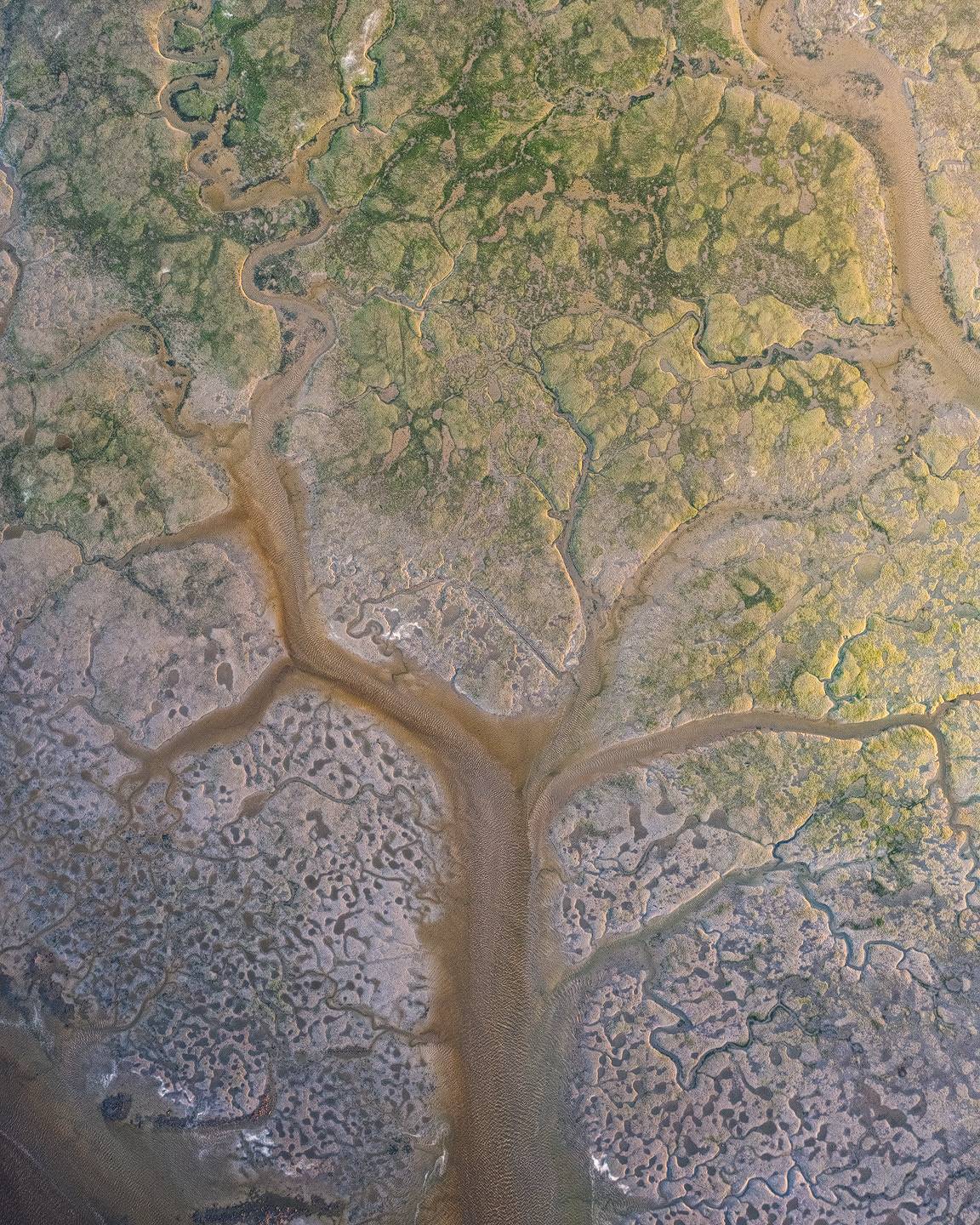 Photo de texture de chenal laissant apparaitre la silhouette d'un arbre dans la vase