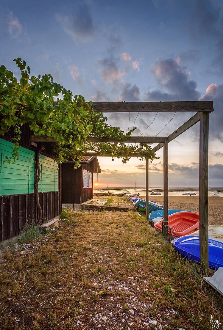 Lever de soleil sur les deux cabanes ostrécioles de l'Aiguillon