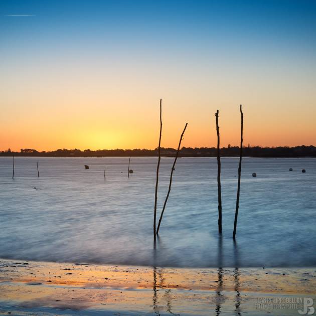 Photo Raide comme un piquet à l