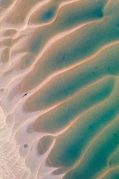 Photo de Arcachon - Textures du Bassin : Seul sur le banc
