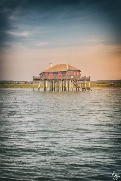 Photo de Île aux oiseaux - La cabane tchanquée #1