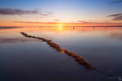 Photo de Arcachon - Le serpent de l'Aiguillon