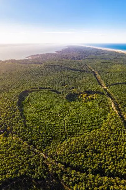 Photo de Cap Ferret - Au coeur de la presqu'île du Cap Ferret