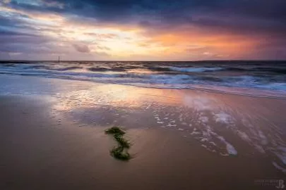 Photo de Pyla-sur-Mer - Coucher sur les algues du Pyla
