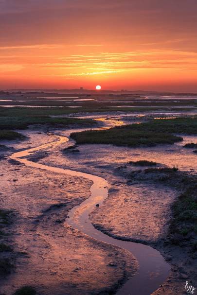 Photo de Gujan-Mestras - Comme un air d'Amazonie