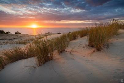 Photo : Sur la Dune #2