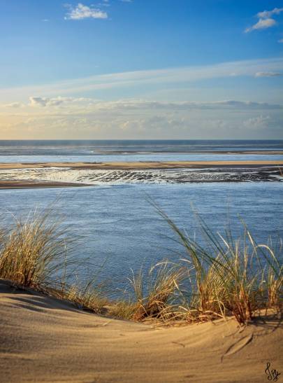 Photo : Sur la Dune #3