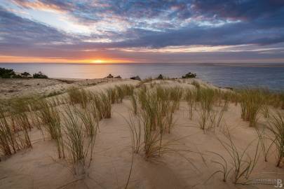 Photo de Dune du Pilat - Sur la Dune #4