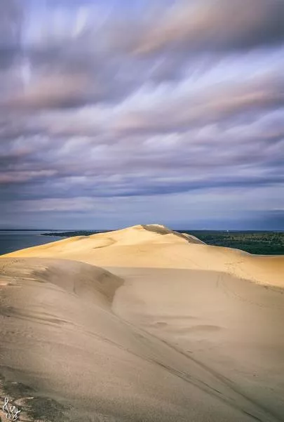 Photo : Sur la Dune #7