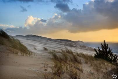Photo : La Dune dans la tourmente #2