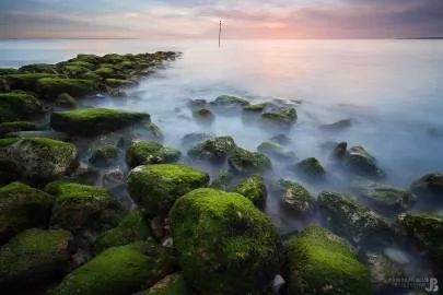 Photo de Pyla-sur-Mer - Des fjords au Pyla, il n'y a qu'un pas