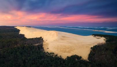 Photo : La forêt, la Dune du Pilat, le Banc d'Arguin