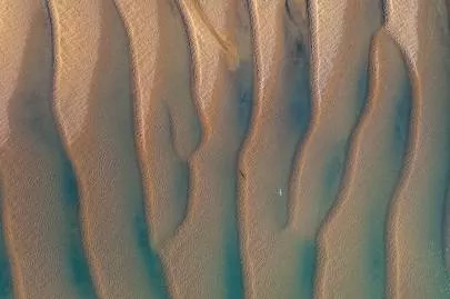 Photo de Arcachon - Vol au dessus d'un nid de Pinasse