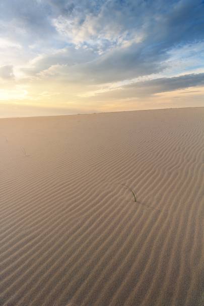 Photo de Dune du Pilat - Résistant