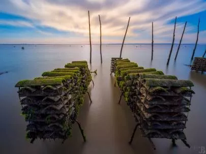 Photo de Cap Ferret - Sur les parcs ostréicoles du Canon