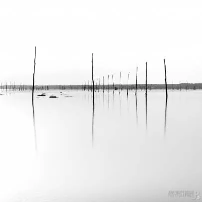 Photo de Cap Ferret - Posé au Mimbeau