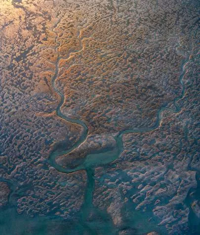 Photo de Arcachon - Textures du Bassin : La tenture du Bassin