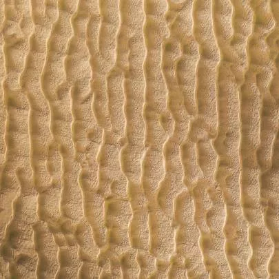 Photo de Arcachon - Texture du Bassin :  Or Pereire