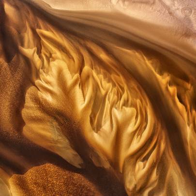 Photo de Le Teich - Feuille d'Or