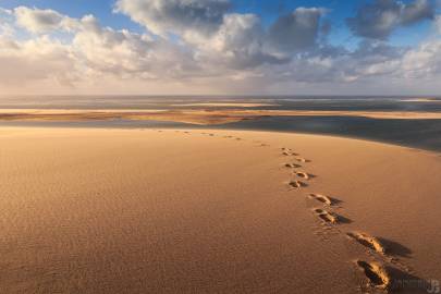 Photo de Dune du Pilat - Traces de pas sur la Dune du Pilat