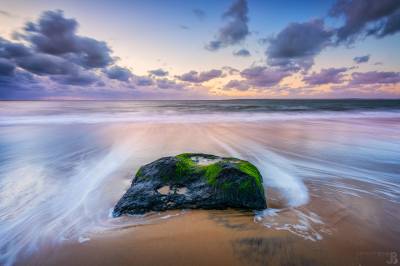 Photo de Pyla-sur-Mer - Quand l'eau se retire #3